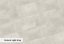 SPC FLOOR CONCEPT CEMENT LIGHT GRAY, click vč. podložky 1,5mm